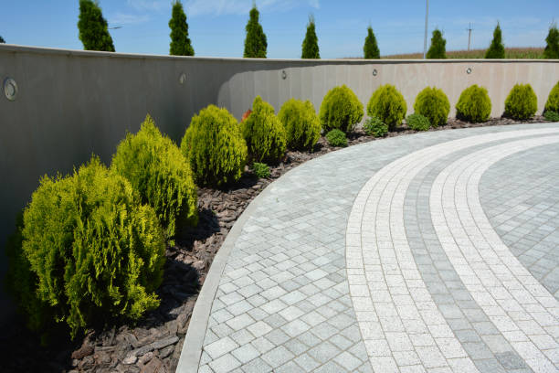 Best Residential Driveway Paver Services  in Lakeway, TX